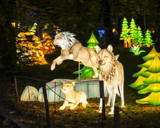 Wystawa Garden of Lights: Dzika Azja we wrocławskim zoo, październik 2024